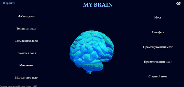 my_brain.png